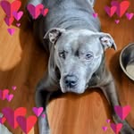 Diane Roberson - @grandmaroberson101 - Instagram