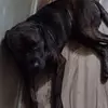 Diane Roberto - @diane.roberto - TikTok