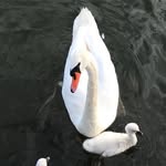 Diane Robichaud - @robichaud969 - Instagram