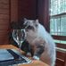 Diane Robichaud - Facebook
