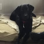 Diane Robillard - @diane.robillard1 - Instagram