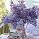 Diane Robillard - Facebook