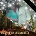 Diane Rodd - Facebook