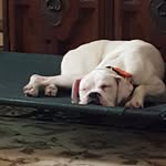 DIANE RODE - @dianerode1021 - Instagram