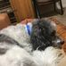 Diane Rode - Facebook