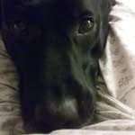 Diane Roder - @roderdi - Instagram