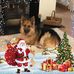 Diane Root - Facebook