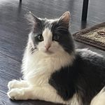 Diane Ross - @doos_by_diane - Instagram