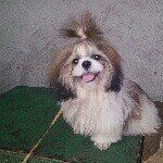Diane Ross Mondia Lumapas - @ilovebhabyreo93 - Instagram