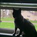 Diane B. Rourke - Facebook