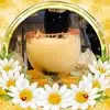 Diane MacPherson Rowley - @diane.macpherson - TikTok
