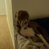 Diane Rowley - @chewbouey - TikTok