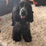 Diane Rowley - @diane_r60 - Instagram