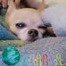 Diana Rupert - Facebook