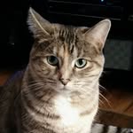Diane Rupert - @drupert116 - Instagram
