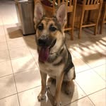 Diane Rush - @dianerush63 - Instagram