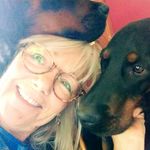 Diane Sack - @cosmicmonkey3322 - Instagram