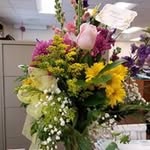 Diane Salisbury - @dsalisbury0108 - Instagram