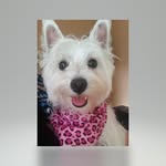Diane Salisbury - @diane.salisbury.98 - Instagram