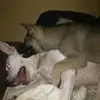 dianesalisbury55 - @dianesalisbury55 - TikTok