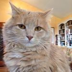 Diane Sargent - @dianesargent18 - Instagram