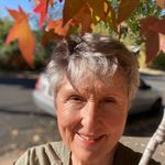 diane schaffer - @dedeschaff - Instagram