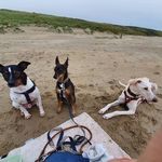 Diane Scheckert - @dianescheckert - Instagram
