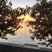 Diane Scheer - Facebook