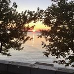 Diane Scheer - @diziescheer - Instagram