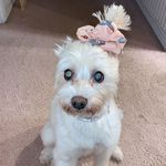 Diane Newton Schell - @dlnschell - Instagram