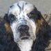 Diane Scheller - Facebook