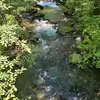 diannescheller - @diannescheller - TikTok