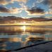 Diane Scheuerman - Facebook