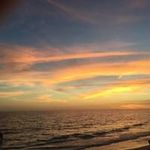 Diane Scheuerman - @dazeyluci - Instagram