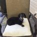Diane Scheuerman - Facebook