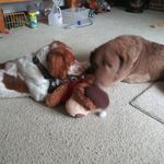 Diann Scheuerman - @diannscheuerman - Instagram