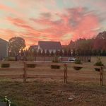 Diane Jackson Schubert - @schubert460 - Instagram