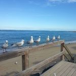 Diane Schubert - @dischubert - Instagram