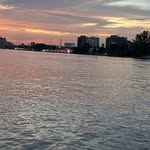 Ms Diane Schubert - @schubert1746 - Instagram
