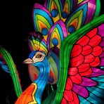 Diane Shafer - Facebook