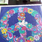 Diane Shafer - Facebook