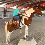 Diane Sharp - @diane.sharp.351 - Instagram