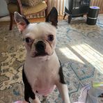 Diane Sharp - Facebook