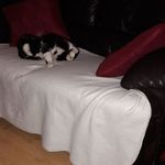 Diane Sharp - @diane.sharp.9028194 - Instagram