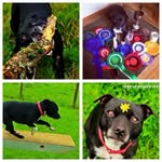 Diane Sharp - @diane.sharp.9655 - Instagram
