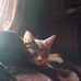 Diane Sharp - Facebook