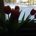 Diane Shepard - Facebook