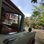 Diane Shepard - @shepard5529 - Instagram