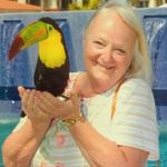 Diane Shepard' - @diane.shepard.9674 - Instagram
