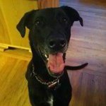 Diane Tremblay Shepard - @dididishepardgmailcom - Instagram